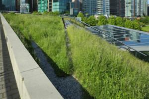 Garden Green Roof Drainage