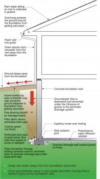 This is the Best Way to Manage Basement Moisture | DELTA® Academy